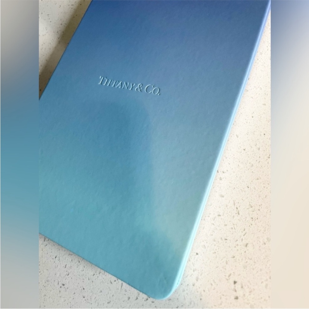Tiffany note book - Picture 3 of 13